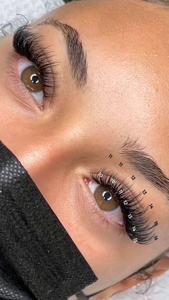 Step-by-Step Guide to Cat Eye Lash Mapping