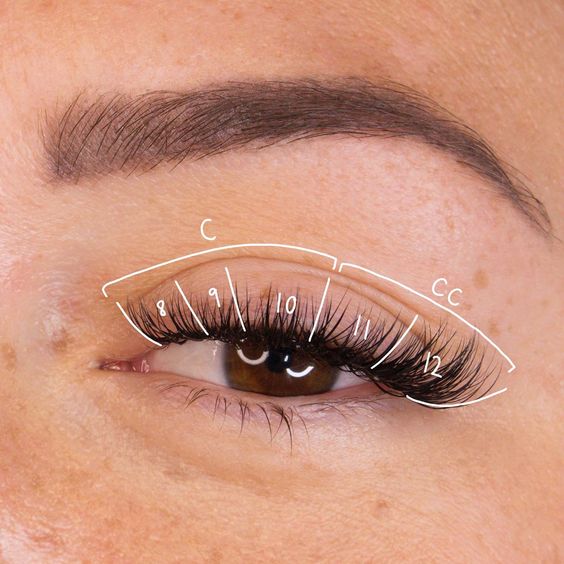 Step-by-Step Guide to Cat Eye Lash Mapping