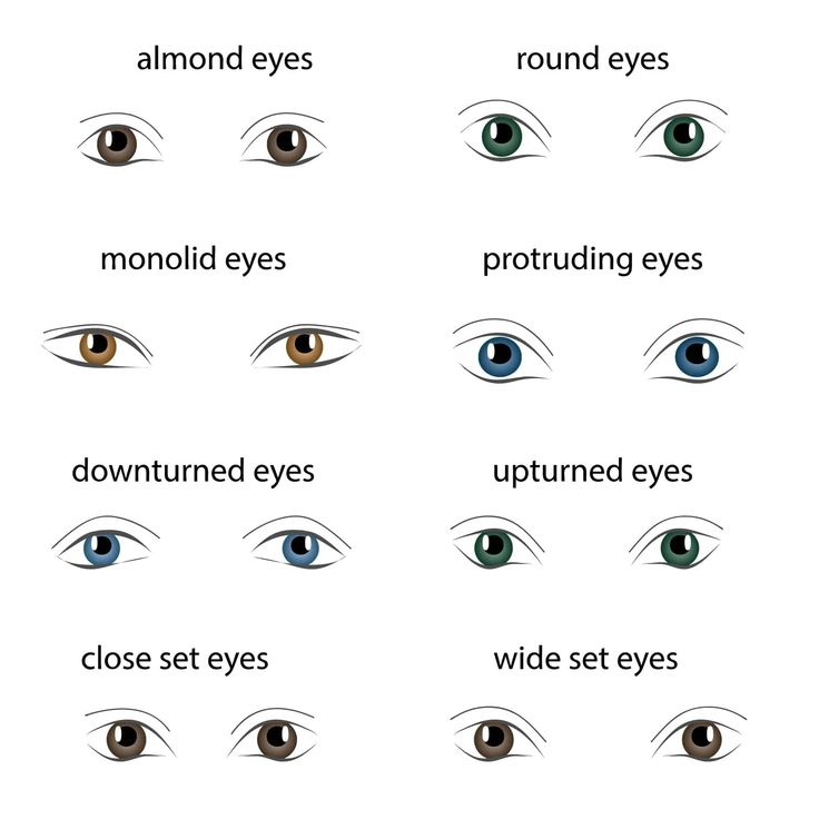 different types of eye shapes