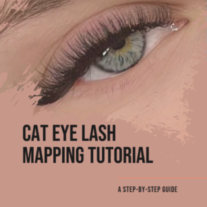 Step-by-Step Guide to Cat Eye Lash Mapping