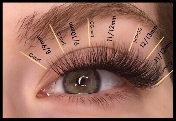 squirrel lash mapping