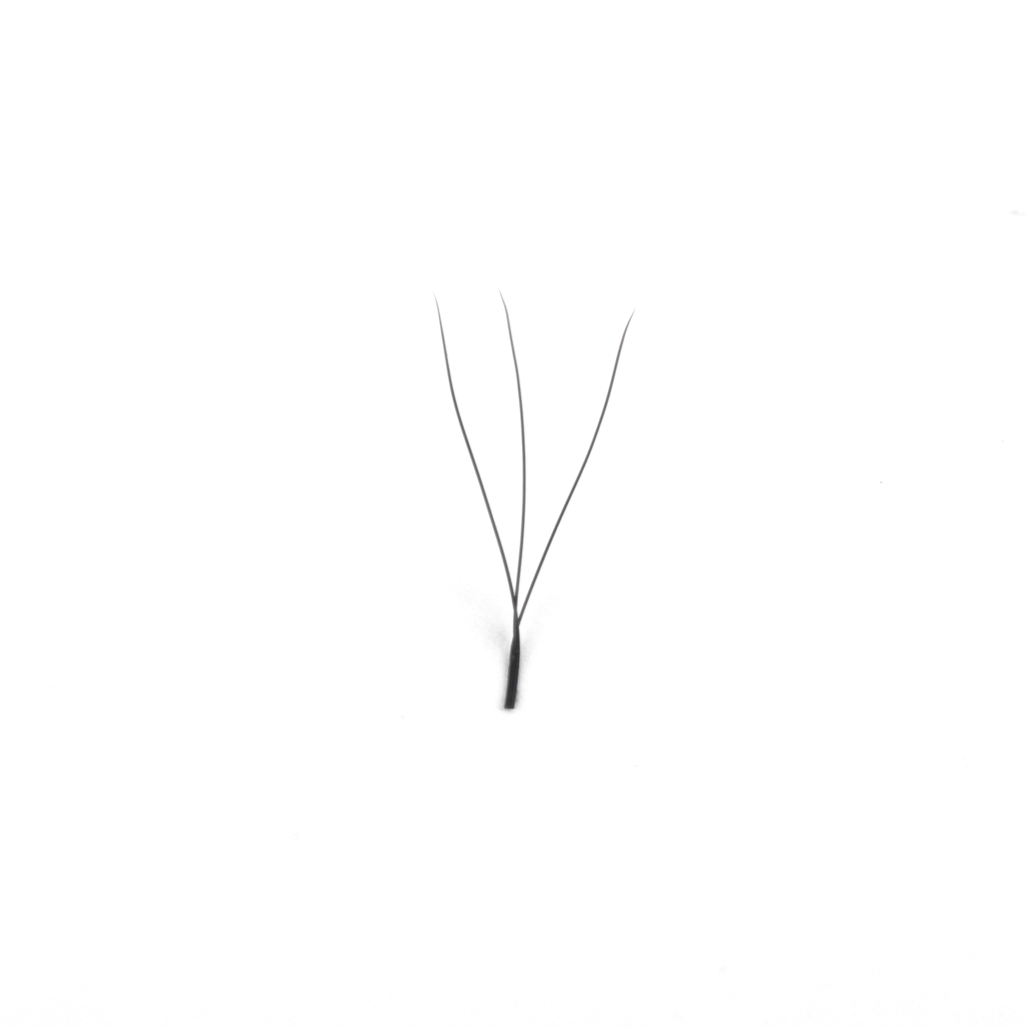 Wholesale W 3D Lash Extensions for Voluminous Lashes UBLash