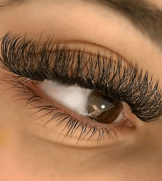 W Clover Lashes