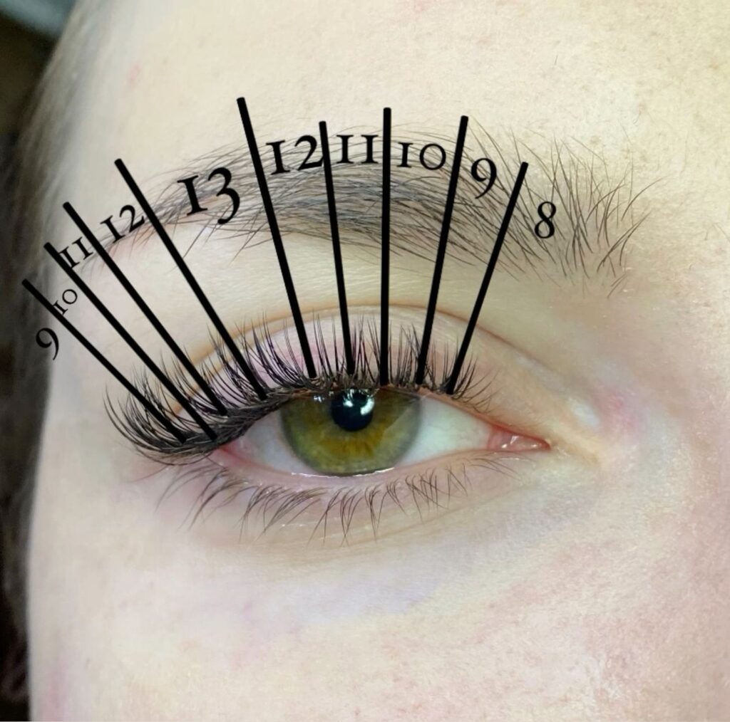 wet lash mapping