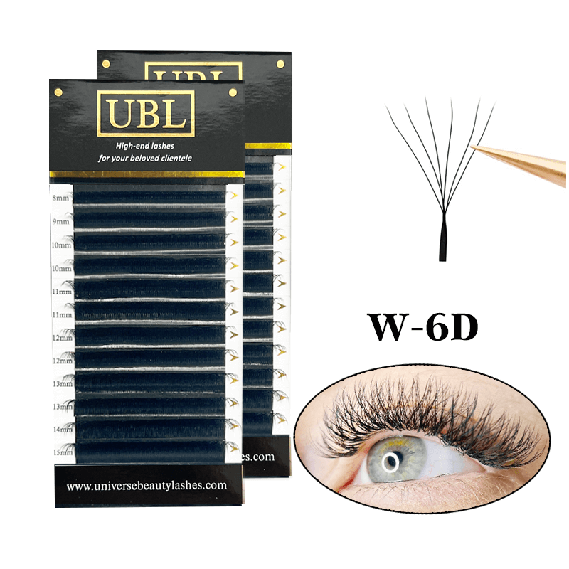 W-6D lash extensions