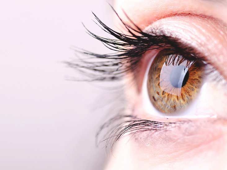 straight eyelash